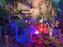 -恐龙探索乐园(磁器口店)