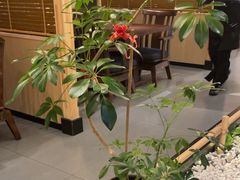 -江户前日本料理(瑞诗酒店店)