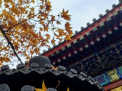 -香山公园