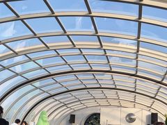 -Hi City·城市之巅