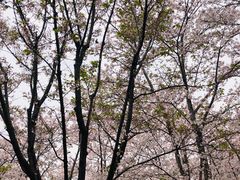 -龙美术馆西岸馆-停车场