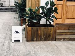 -懒鱼时光馆(沙坪坝店)