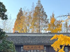 -龙华寺