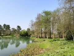 -西溪国家湿地公园