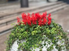 -东怡大酒店(上海科技馆店)