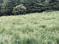 -白草畔自然风景区