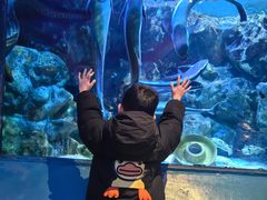 -海合安成都极地海洋公园