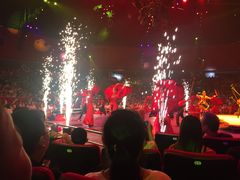 -珠海横琴长隆《卡卡虎奇遇记》