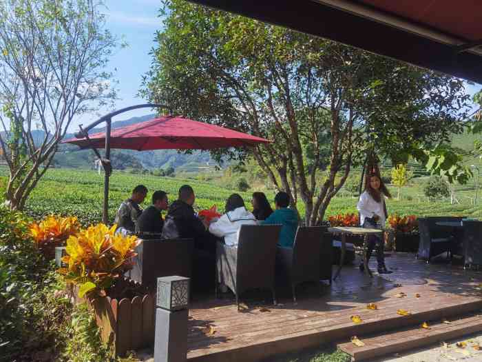 缘墅花园餐厅"清明跟几个朋友过来喝茶吃饭.茶园里喝茶环.