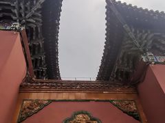 -北陵公园