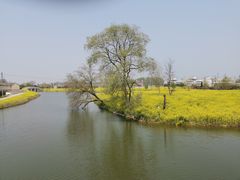 -窑湾古镇