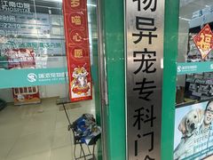 -瑞派动物医院·猫专科·至诚(江南中分院)