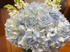 -循礼门鲜花花市(武汉循礼门店)