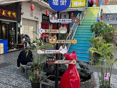 -猫咪博物馆(顶澳仔猫街店)