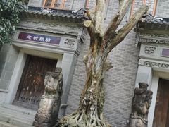 -龙潭水乡