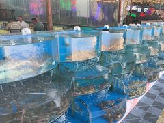 -沿海渔家院海鲜烧烤·东北菜(东戴河店)