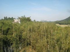 -开平碉楼文化旅游区马降龙景区