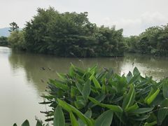 -太极禅苑