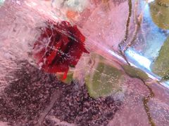 -万达广场(太原街店)