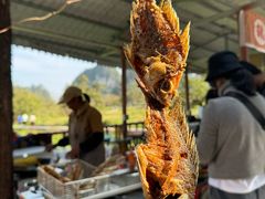 -靖西鹅泉风景区