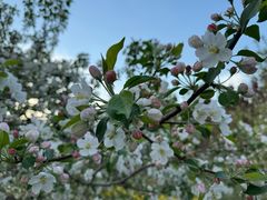 -长春市南湖公园