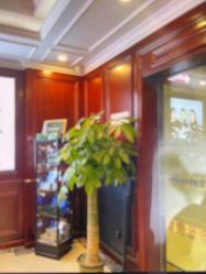 -南京医科大学友谊整形外科医院