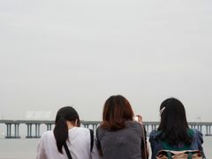 -宝安西湾红树林湿地公园