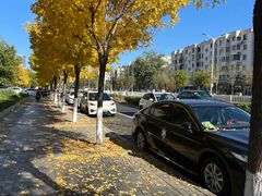 -遵化市禅林寺古银杏风景园