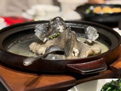 -潮江春(阳光店)