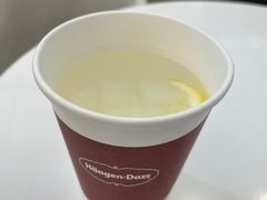-哈根达斯(天河城店)