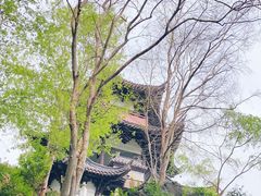 -三游洞