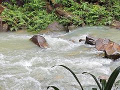 -广州白江湖森林公园