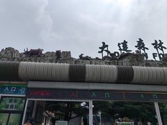 -大连森林动物园