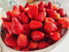 -炫采冰场(红博中央公园商场店)