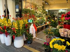 -溪岸路花鸟市场