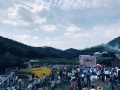 -宁波浙东大竹海景区