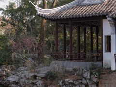 -秋霞圃