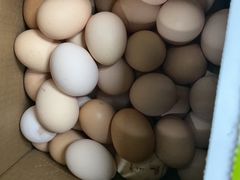 -乡乐园蟹庄·阳澄湖农家乐