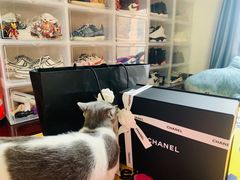 -CHANEL(恒隆广场店)
