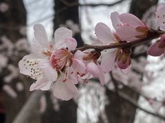 -碑林公园