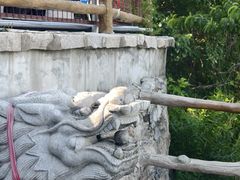 -金龙寺国家森林公园