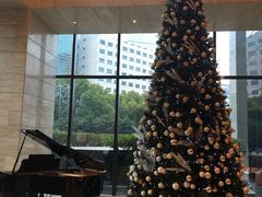 -上海龙之梦万丽酒店