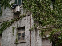 -小南海站