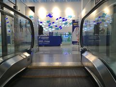 -新荟城(望京店)