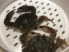 -苏大嘴海鲜牧场(奥林匹克店)