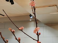 -一坐一忘云南菜(三里屯店)