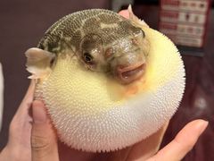 -永安鱼庄·镇江菜(东吴路店)