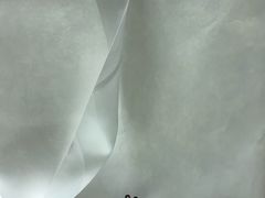 -BLACKSWAN黑天鹅(环球店)