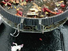 -撒拉人家.酸菜牦牛肉火锅