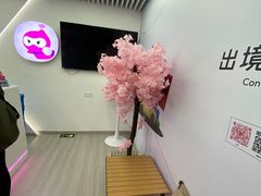 -漫游超人出国WiFi(上海浦东国际机场店)